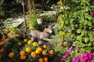 Гостиница Век Анапа-2